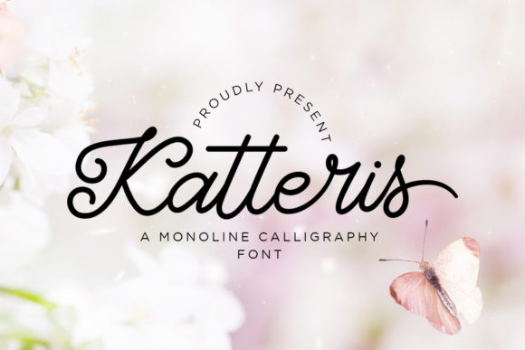 Katteris: A Script Font That Elevates Your Web Design
