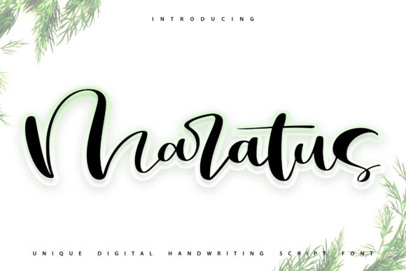 Maratus: A Handwritten Font for Editorial Design