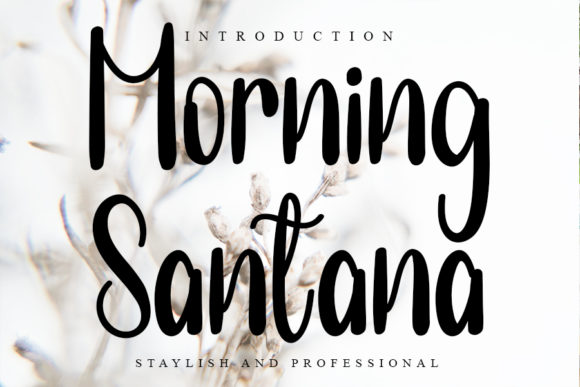 Morning Santana Font for Business